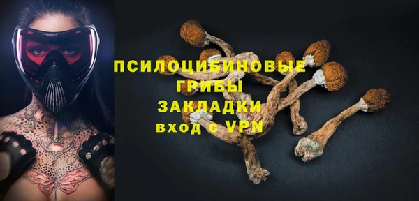 мдпв Елабуга