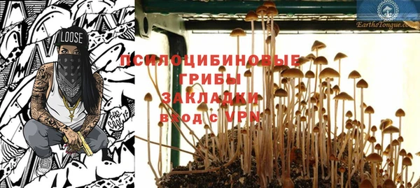 молекула духа Ельня