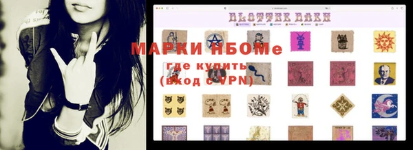 молекула духа Ельня