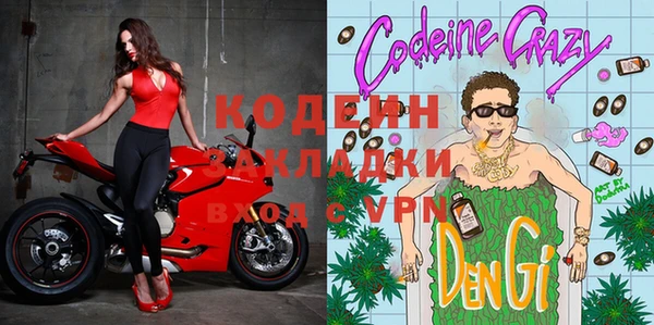 мдпв Елабуга
