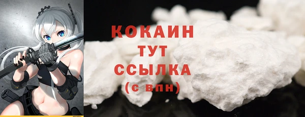 Альфа ПВП Магас