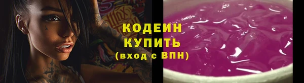 мдпв Елабуга
