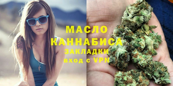 молекула духа Ельня