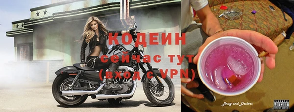 мдпв Елабуга