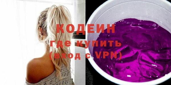 молекула духа Ельня