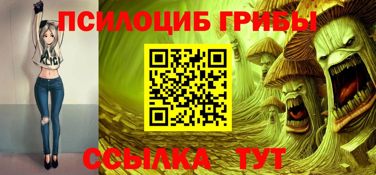 Псилоцибиновые грибы Cubensis  Вход с VPN  что такое   Пенза 