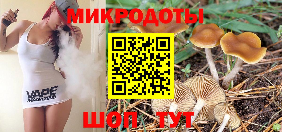 Псилоцибиновые грибы Cubensis Пенза