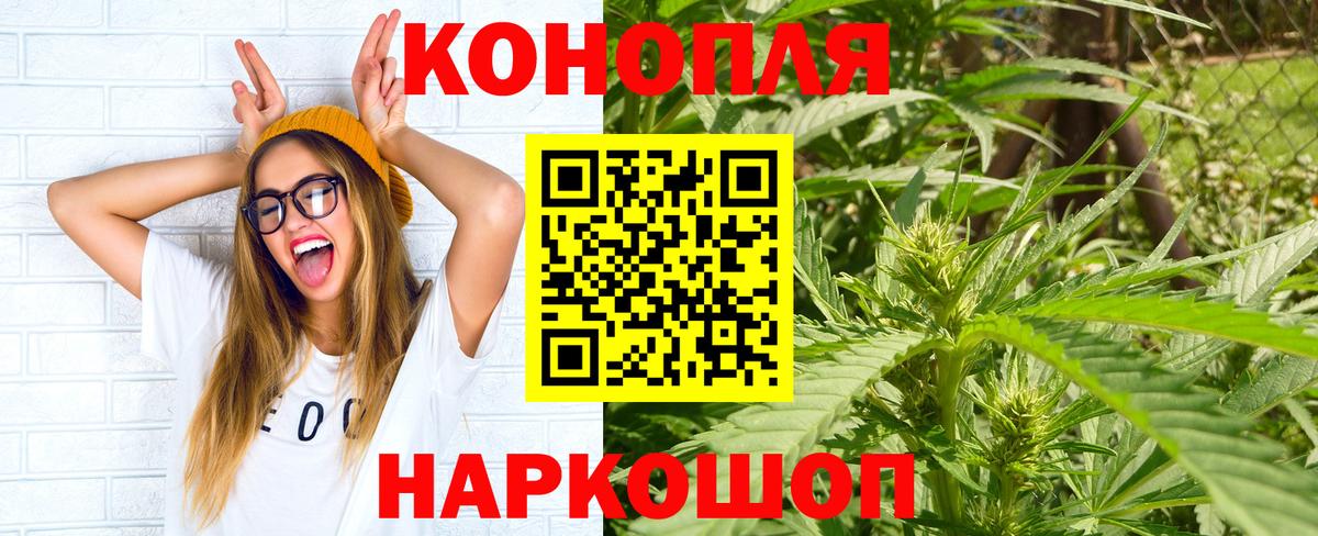 Бошки марихуана LSD WEED  Конопля конопля  Пенза  Каннабис LSD WEED  Бошки марихуана планчик 
